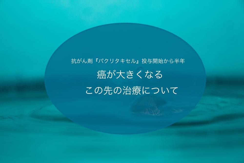 カソデックスの服用方法
